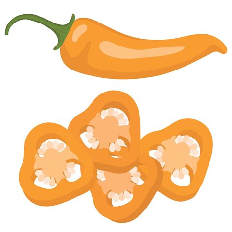 Yellow Hot Chili Pepper Slices Of Yellow Hot Pepper Vector