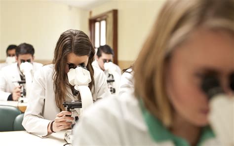 La Bioética En Las Instituciones De Educación Superior En El Contexto De La Sustentabilidad