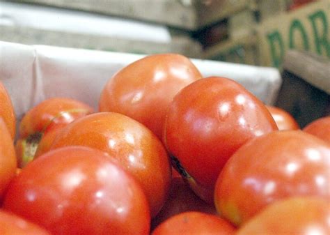 El Precio Del Tomate Alcanza Niveles R Cord