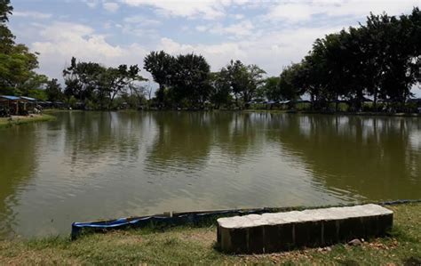 Pesca Deportiva Mi Lago Palmira Valle Del Cauca