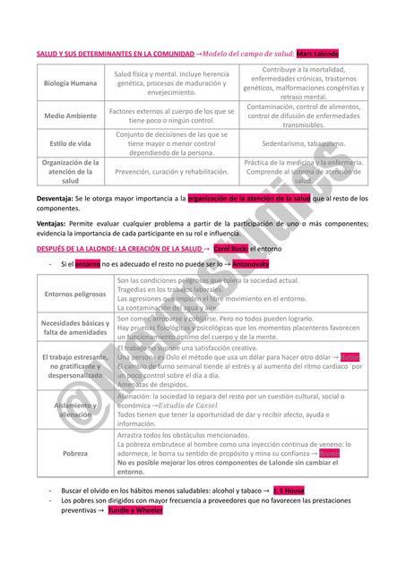 Salud Y Sus Determinantes En La Comunidad Mer UDocz