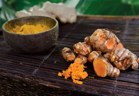 Rooting for Turmeric and Ginger | Edible South Florida