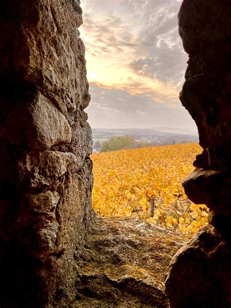 Paysage La Fen Tre Vignes Photo Gratuite Sur Pixabay Pixabay