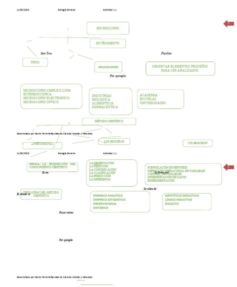 Mapas Conceptuales El Método Científico Y El Microscopio Pdf