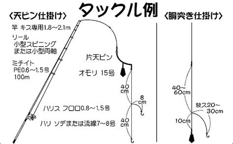 【東京湾2019冬】船シロギス初心者入門 脂乗り最高の好ターゲット