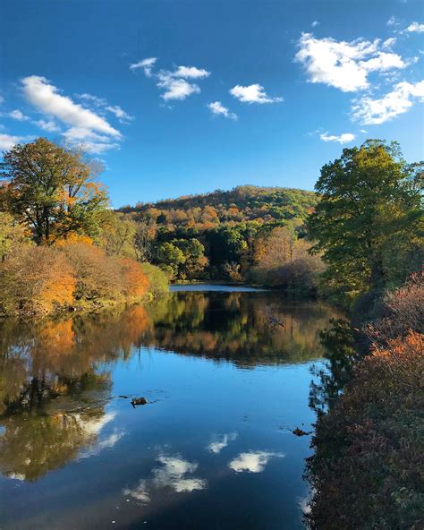 A Guide To The Allegheny National Forest Trips To Uncover Travel Blog