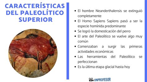 Caracter Sticas Del Paleol Tico Superior