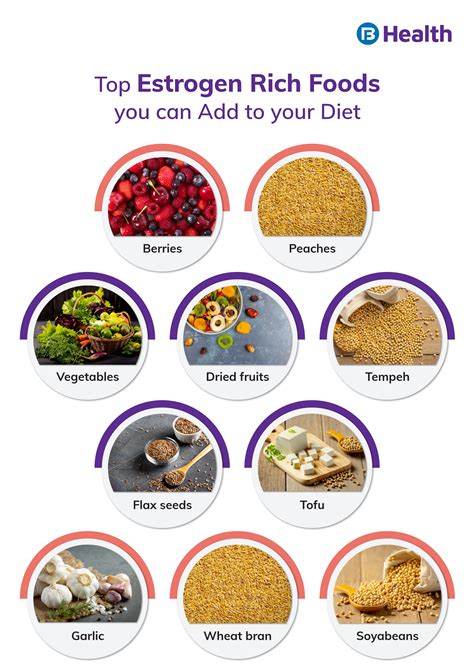 Your Complete Guide To Estrogen Rich Foods Estrogen Rich 60 Off