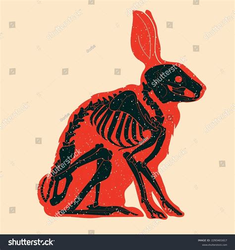 Skeleton Rabbit Bunny Colorful Cute Screen Stock Vector (Royalty Free) 2293401617 | Shutterstock