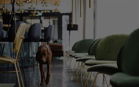 Roomers Munich | Lifestyle Hotel Munich