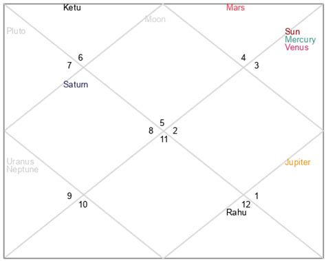 Rui Natsukawa Age Birthday Zodiac Sign And Birth Chart