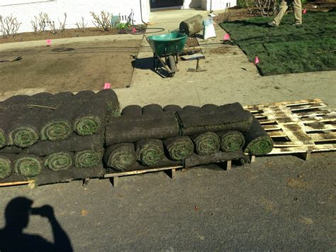 Elite Plus Free Delivery Ratings And Pricing Sod And Seed Inc