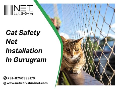 Cat Safety Net Installation in Gurugram | Networks Bird Net