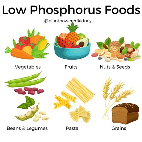 Low Phosphorus Foods List Chart | Hot Sex Picture