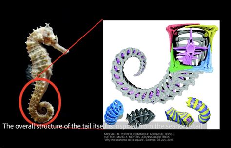 'arque' is a robotic tail that improves human agility and balance