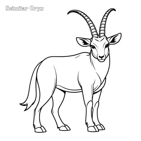 Premium Vector Scimitar Horned Oryx Hand Drawn Coloring Page And