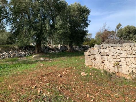 Terreno In Vendita In Contrada Arrighi Belvedere Sierri Arrighi