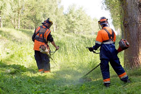 Comment Travailler Dans La Nature Ifsa Et Nature