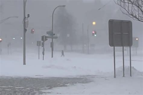 Tormenta Invernal Deja Al Menos 50 Muertos En Estados Unidos