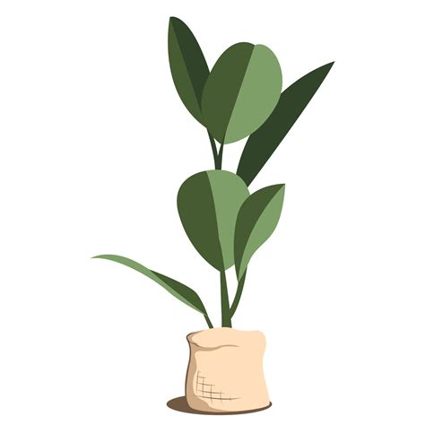 Plants Png Transparent