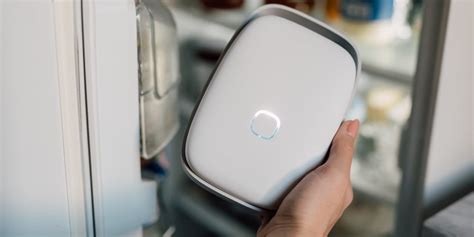 Shelfy Air Purifier That Fights Food Waste Vitesy