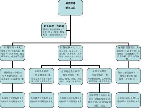 财务体系模式及组织架构方案简版word文档在线阅读与下载无忧文档