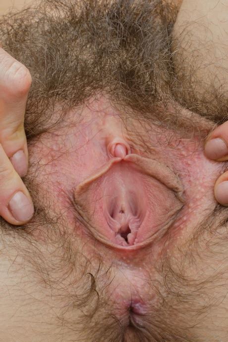 Free Hairy Pussy Spread Porn Pics XXX Galleries NudePussyPics