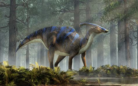 Meet The Parasaurolophus — The Dinosaur With A Crest On Its Head A Z