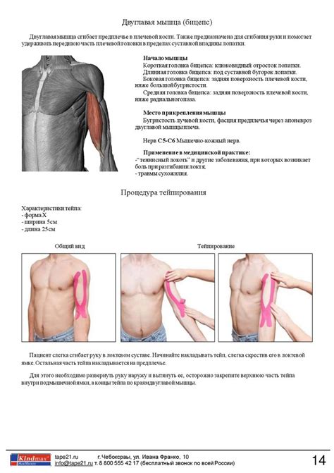 Руководство по кинезио тейпированию - презентация онлайн