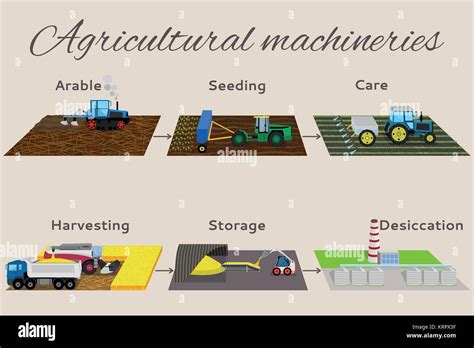 Illustration Of The Process Of Growing And Harvesting Crops