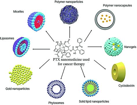 Recent Advances In The Targeted Delivery Of Paclitaxel Nanomedicine For