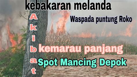 Akibat Kemarau Panjang Kebakaran Spot Mancing Melanda Depok