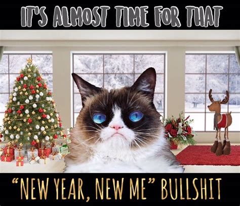 Grumpy Cat New Years 🎉🥂 🎩 Grumpy Cat Christmas Grumpy Cat Humor