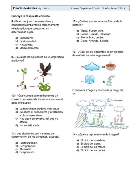 Examen DiagnÓstico Quinto Grado 2019 2020 Página 09 Imagenes Educativas