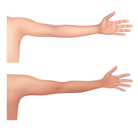 Healthy human arm of the Asian people. Front and back view for ...