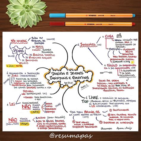 Mapa Mental Do Eca Ologia 38625 Hot Sex Picture