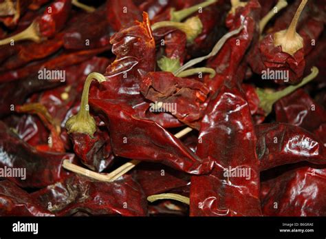 A Pile Of Red Hot Chilli Peppers Stock Photo Alamy