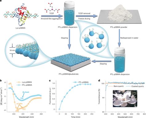 Sustainable Polymer Coating For Stainproof Fabrics — Greenext