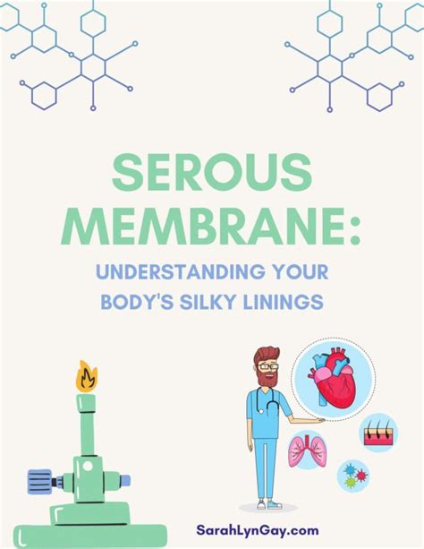 Serous Membrane Understanding Your Bodys Silky Linings Sarah Lyn Gay