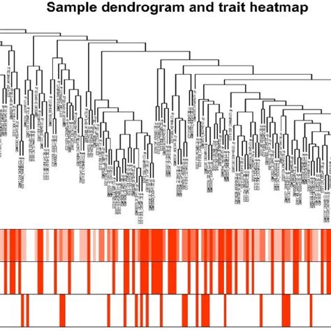 Sample Dendrogram And The Heatmap Of Trait Indicators The Clustering