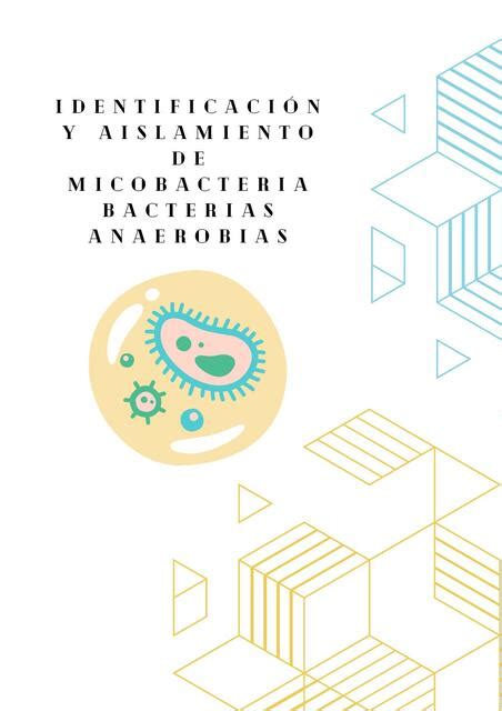 Identificaci N Y Aislamiento De Micobacteria Bacterias Anaerobias