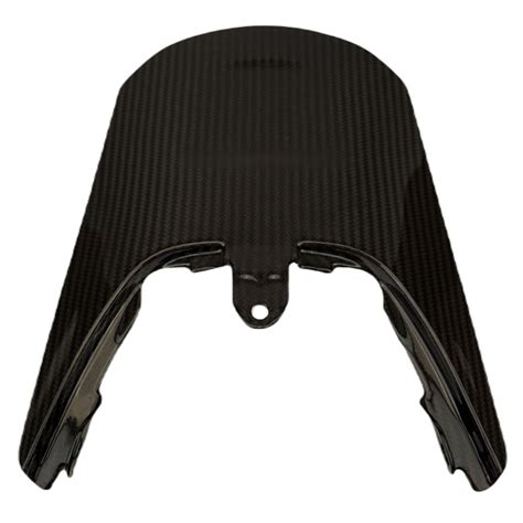 Harley Davidson Sportster S Carbon Fiber Parts