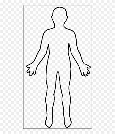 Body Outline Images Human Body Outlines Can Help With Learning