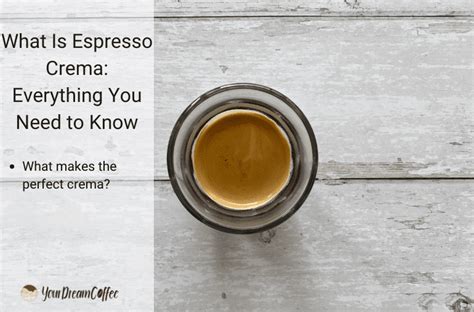 What Is Blonde Espresso Everything You Need To Know