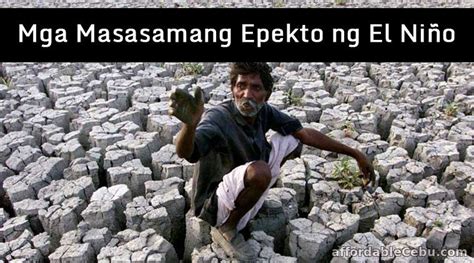 Sanaysay Tungkol sa Masamang Epekto ng El Niño Literature 30544