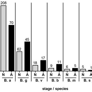 Distribution Of Borrelia Species In Nymphs N And Adults A The