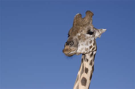 Rising Above the ‘Noise’ - InnerSpace | Meditation, London