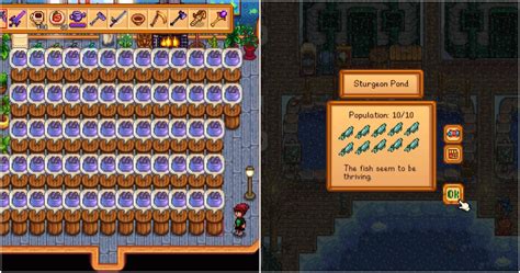 Stardew Valley: Sturgeon Guide And Tips