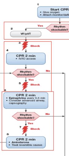 Cardiac Critical Care Flashcards Quizlet