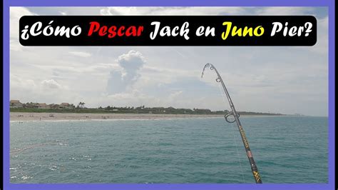 Pesca De Jack Crevalle O Jiguagua Con Sardina Viva En Juno Pier Youtube